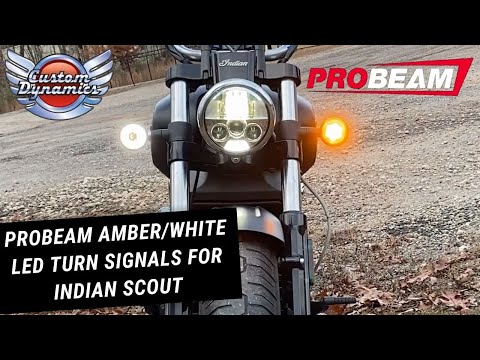 ProBEAM Amber/White Dynamic Ringz LED Turn Signals for Indian Scout